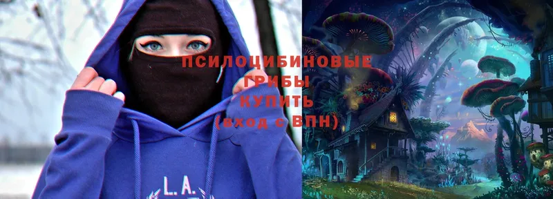 Псилоцибиновые грибы Psilocybe  omg онион  Бирюсинск  как найти закладки 